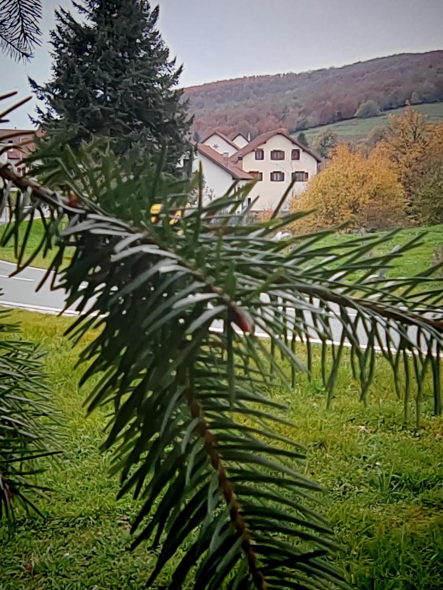 Apartamentos Goizeder Espinal-Auzperri Exteriör bild