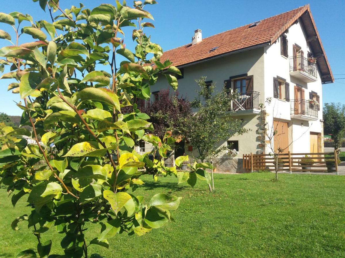 Apartamentos Goizeder Espinal-Auzperri Exteriör bild
